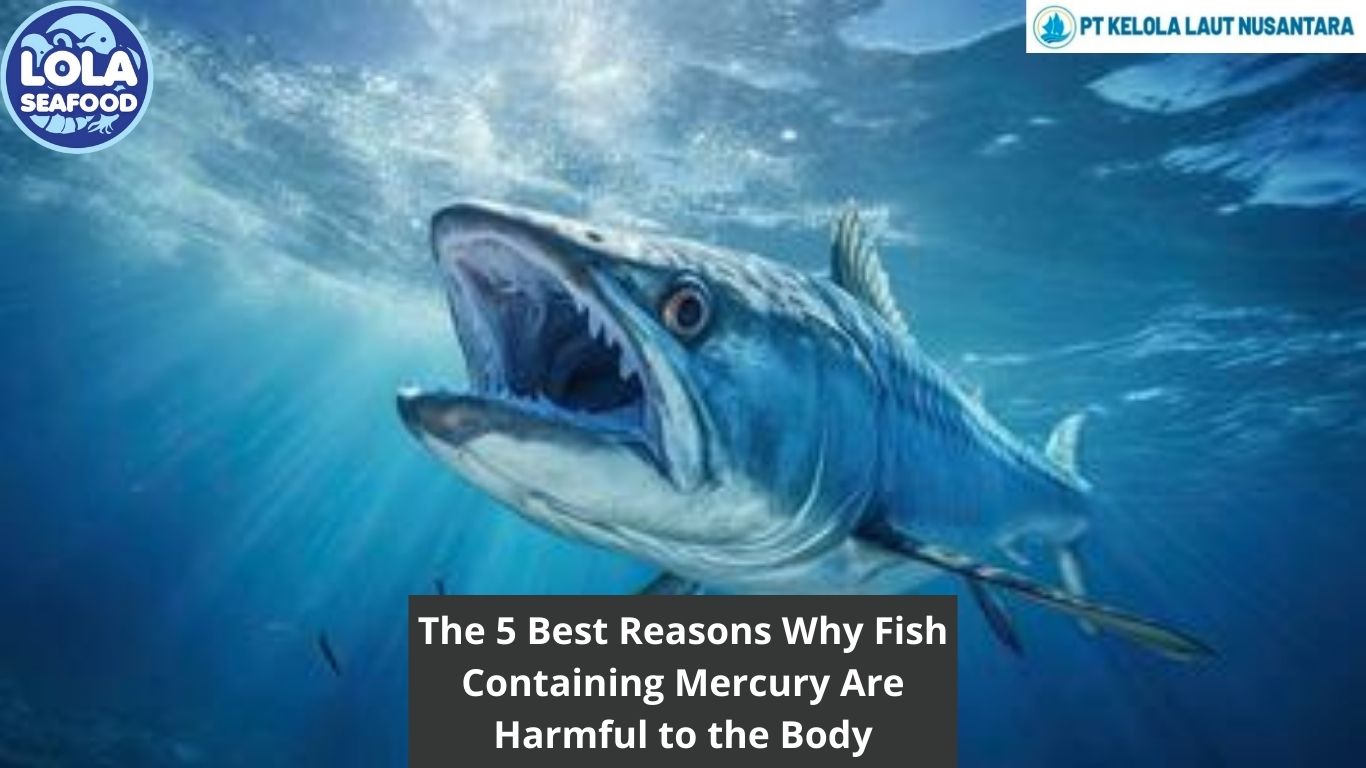 The 5 Best Reasons Why Fish Containing Mercury Are Harmful to the Body